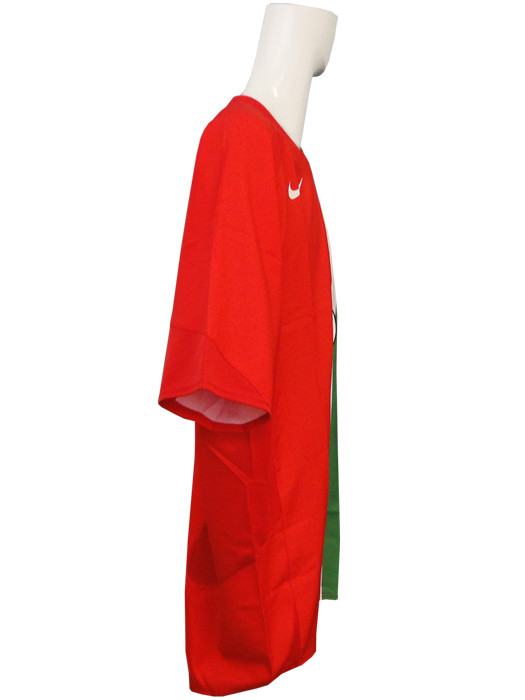 ***限定再入荷***(ナイキ) NIKE/05/06ユベントス/アウェイ/半袖/デルピエロ/195864-605