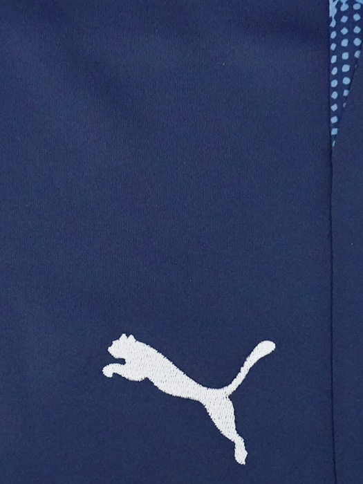 (プーマ) PUMA/TEAMCUP TR ハーフパンツ/プーマネイビー/660107-06