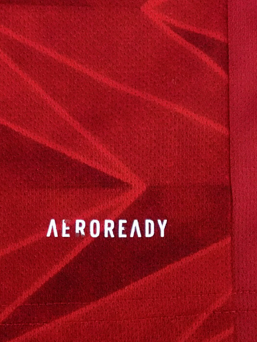 ***若干汚れと傷あり***(アディダス) adidas/20/21アーセナル/ホーム/半袖/冨安/プレミアリーグバッジ付/GEY06-EH5817