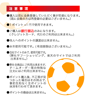 プリペイドポイント購入-3万3千ポイント-ネイバーズスポーツ